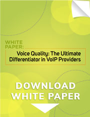 Voice Quality VoIP White Paper